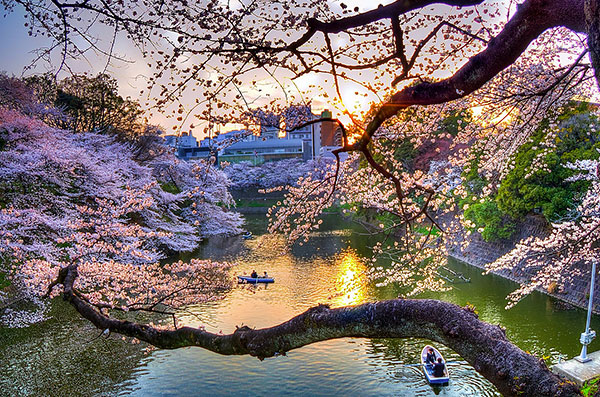 Cung điện hoàng gia Tokyo